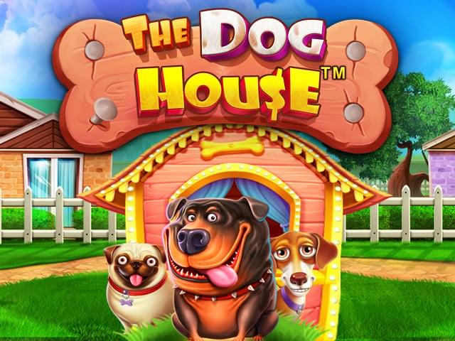 Dog House